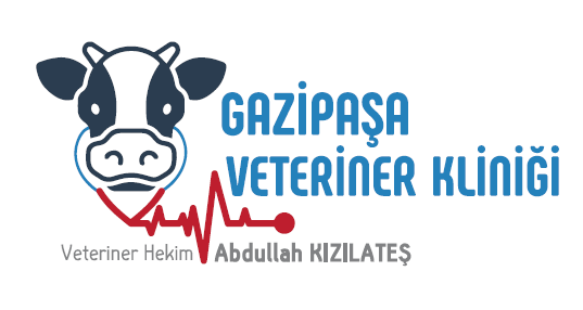 Gazipaşa Veteriner Kliniği - Abdullah KIZILATEŞ